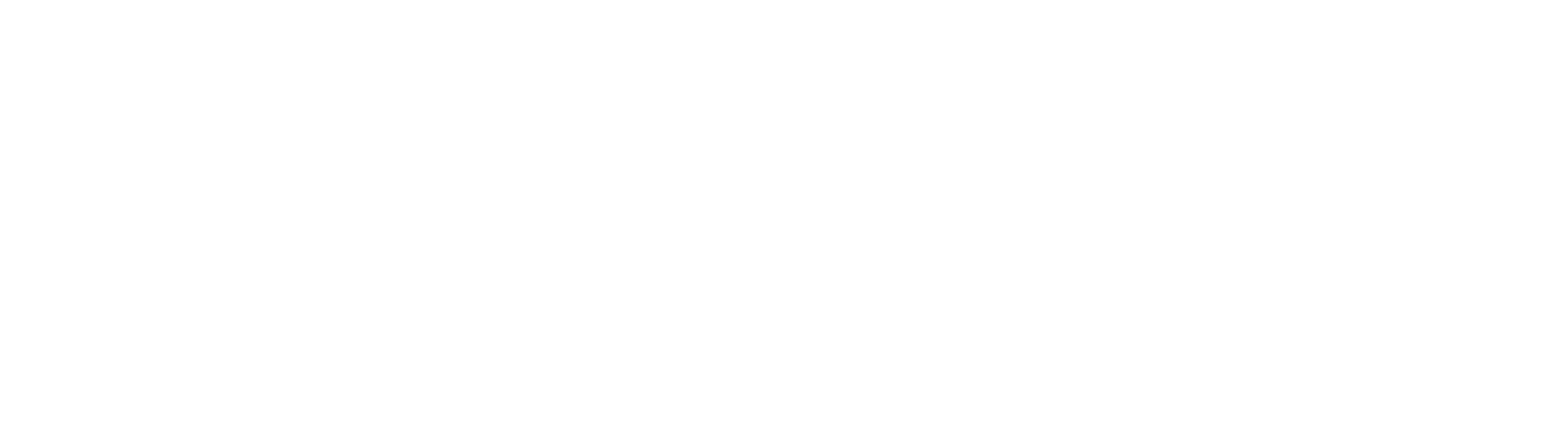 MVX Shop